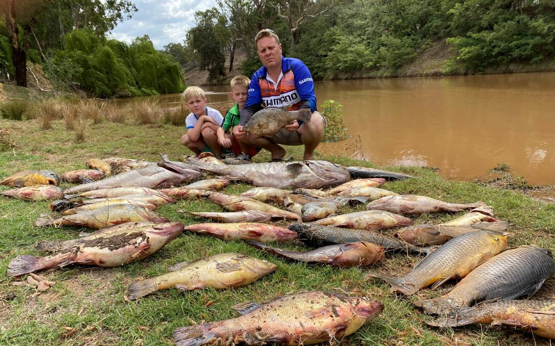 Jack, Cooper and Matt Hansen overlook the fish kill devastation on the Macquarie River. 