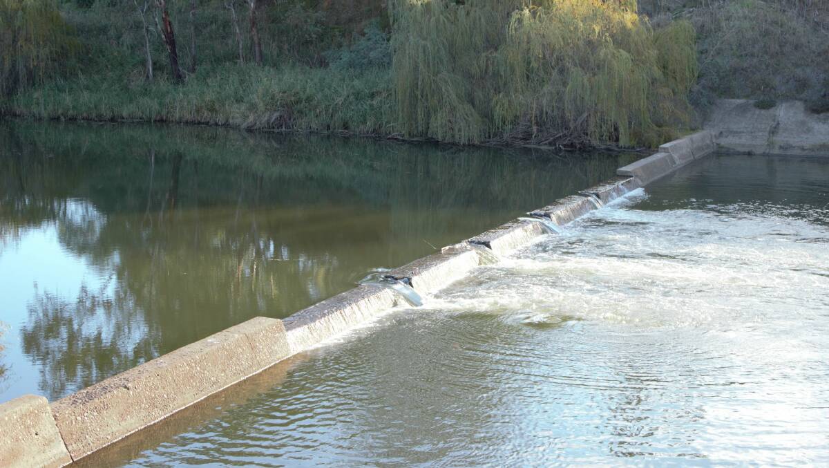 North Dubbo Weir: The community is now questioning if a lack of action on fishways will see a slow recovery for the Macquarie River.