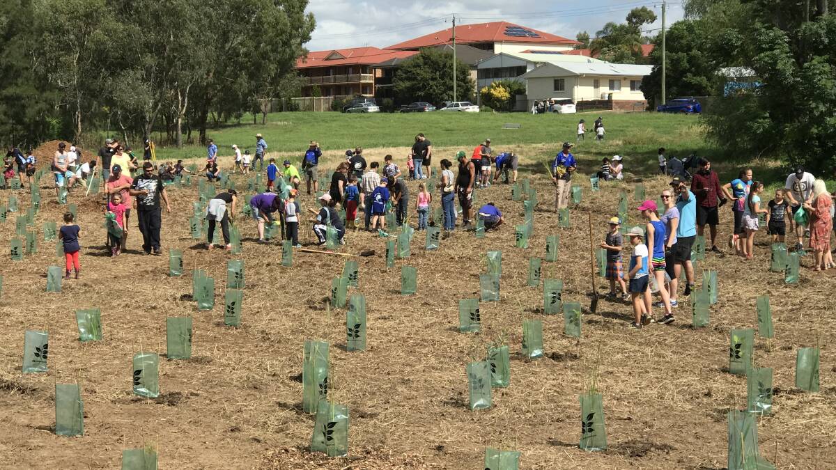 NSW fishing and community groups can apply now for funding to bring their ideas to life, like Tree Planting day. Photo: CONTRIBUTED