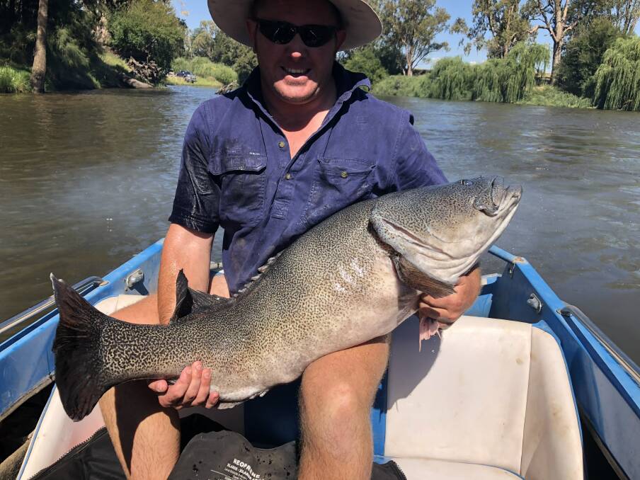 WHAT A CATCH: Todd Erickson with a 110cm Murray cod he caught and released with good fishing mates in the Macquarie River recently.