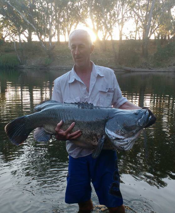 The NSW Aboriginal Fishing Advisory Council work to protect iconic fish like the Murray cod. Pictured: Wayne Gilbert.  