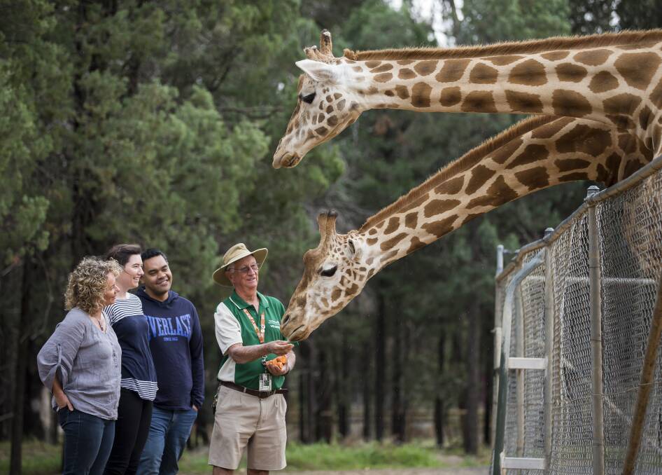 Taronga Western Plains Zoo's volunteers provide endless hours of their time giving assistance to staff and zoo visitors. Photo: CONTRIBUTED