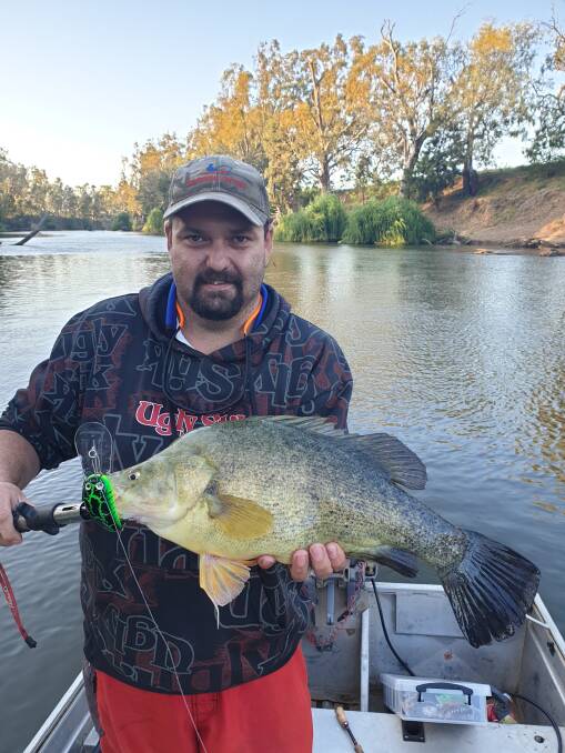 A call to reignite the native fish strategy is echoing across the Murray-Darling Basin. Pictured is Paul Swain with a Macquarie River golden perch/yellowbelly.