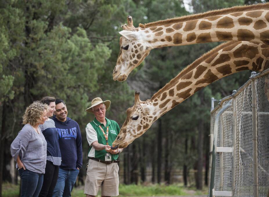 Great opportunity: Taronga Western Plains Zoo has a great volunteer program that helps enhance the visitors' experience. 