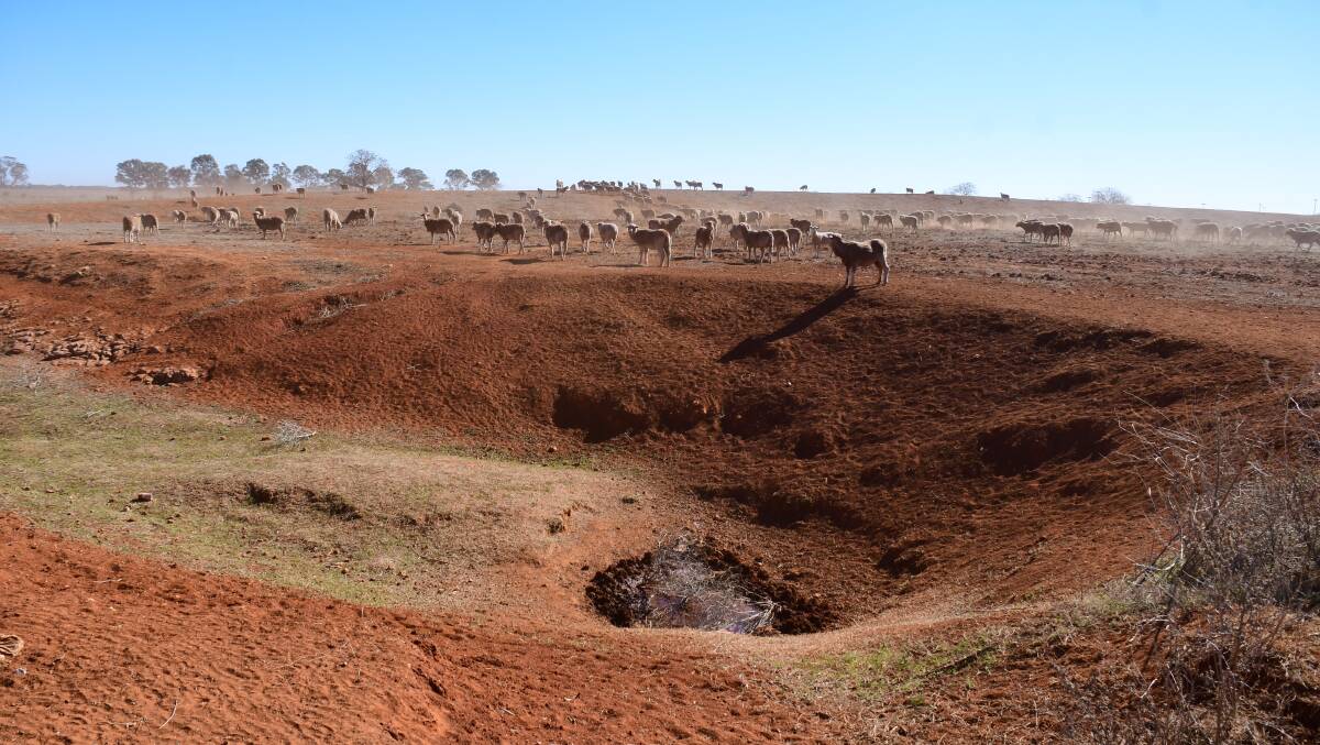 HOT AND DRY: The outskirts of Dubbo are a stark reminder of the worst drought on record. Photo: AMY MCINTYRE