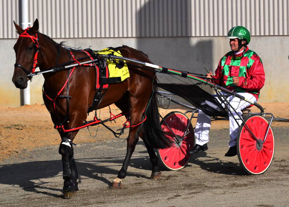 WINNER: Tony Higgs steered the Robbie Clifford trained Speed Dial to victory at the Dubbo Paceway on Wednesday night.