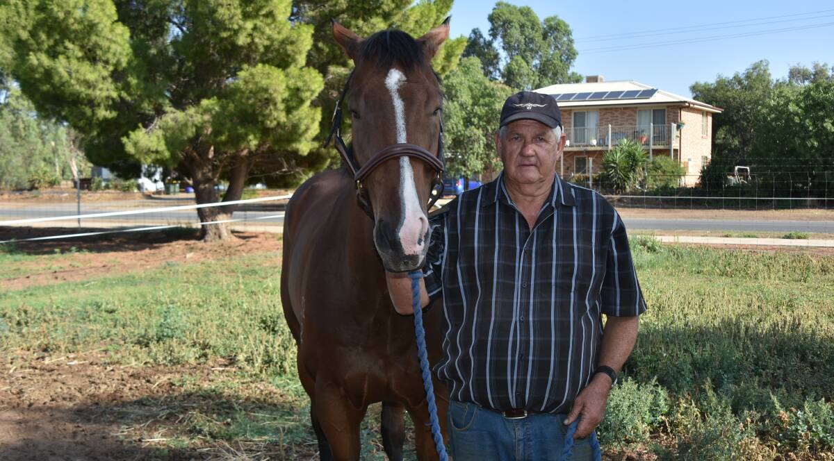 GOING AGAIN: Forbes trainer Dennis Bush and his stalwart Molasses will be in action at their home track on Saturday, contesting the Australia Day Handicap.