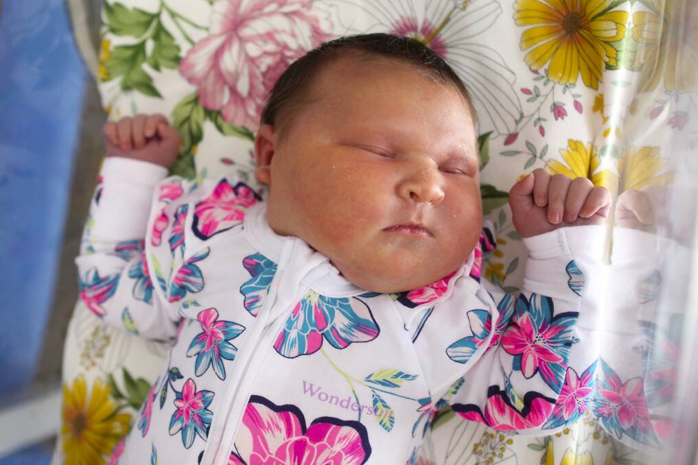 Above average: Newborn Remi Frances Millar weighed in at 5.88kg - or 12.9lb. The average birth weight of babies in Australia is 3.3kg - or 7.2lb.