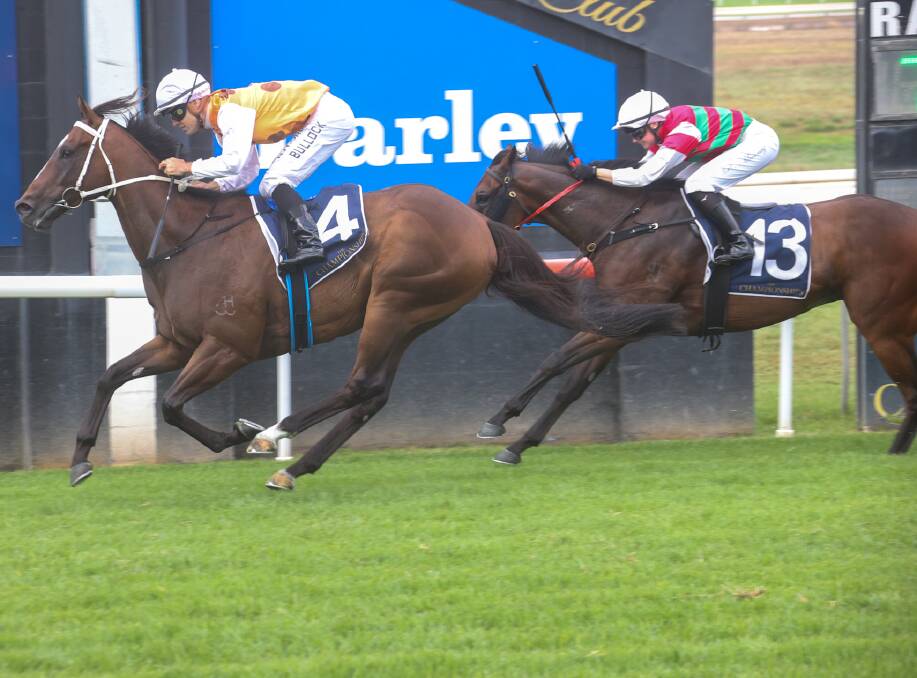 Talbragar wins his way through to the Country Championships Final at Royal Randwick on April 1. Picture Bradley Photographers