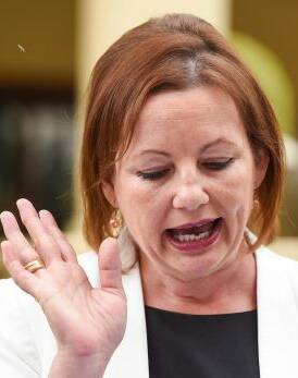Sussan Ley’s not the only one doing it