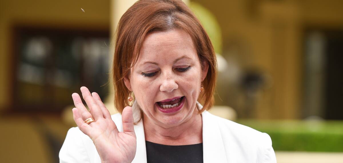 Doubts: Federal Health Minister Sussan Ley has stood down while being investigated for entitlement claims. Photo: GETTY IMAGES