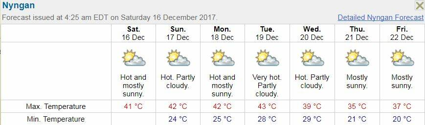 The Bureau of Meteorology's seven-day forecast for Nyngan. 