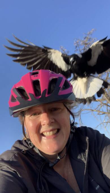 Close encounter: Cyclist Jennifer Fisher videos the moment a magpie swoops her during a ride at Dubbo. Photo contributed.