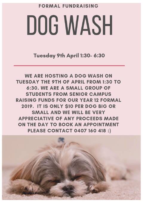 Pampering for pooches: Find out why these teens are hosting a dog wash