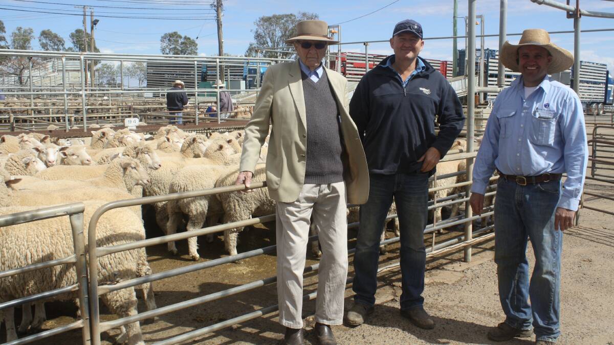 Tim Wiggins of Christie and Hood, Dubbo (right) with Jack Shanks and Ben Shanks of Shanks Farms, Dubbo and the record-breaking pen of lambs which sold for $344 a head at Monday's Dubbo sheep and lamb sale.