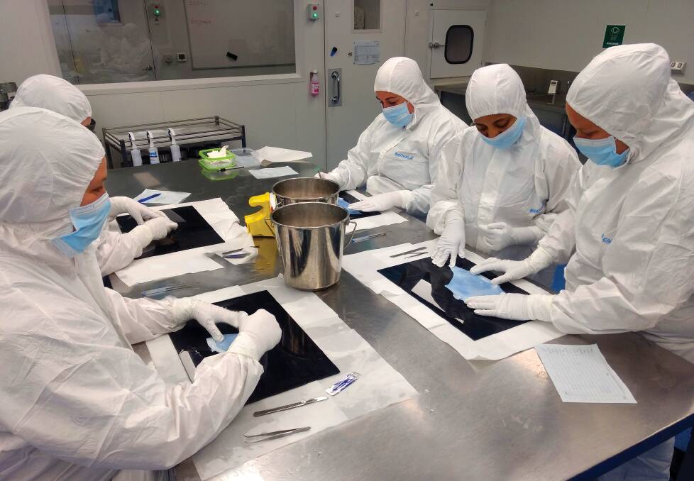 Maverick Biomaterials team members in the existing production space conducting inspection of animal-derived biological material. Photo contributed.
