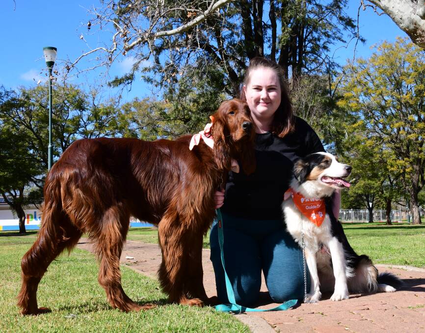 Making a difference: Niamh Hutchinson out with border collie Marnie and Irish setter Remi for Pawgust. Photo: AMY MCINTYRE