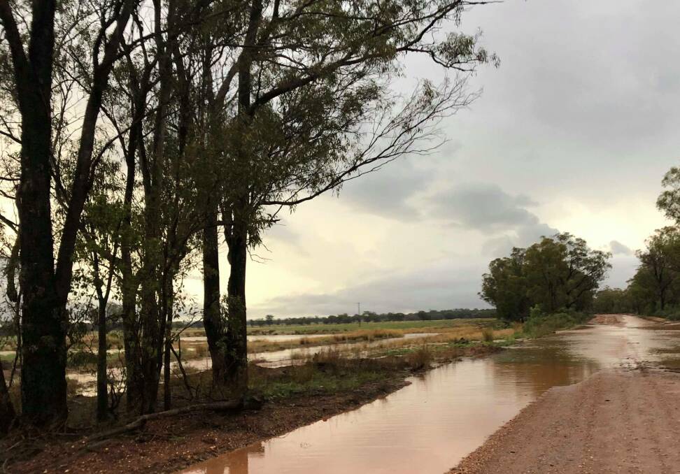 River levels fall below minor at town, SES issues advice for motorists, campers, farmers