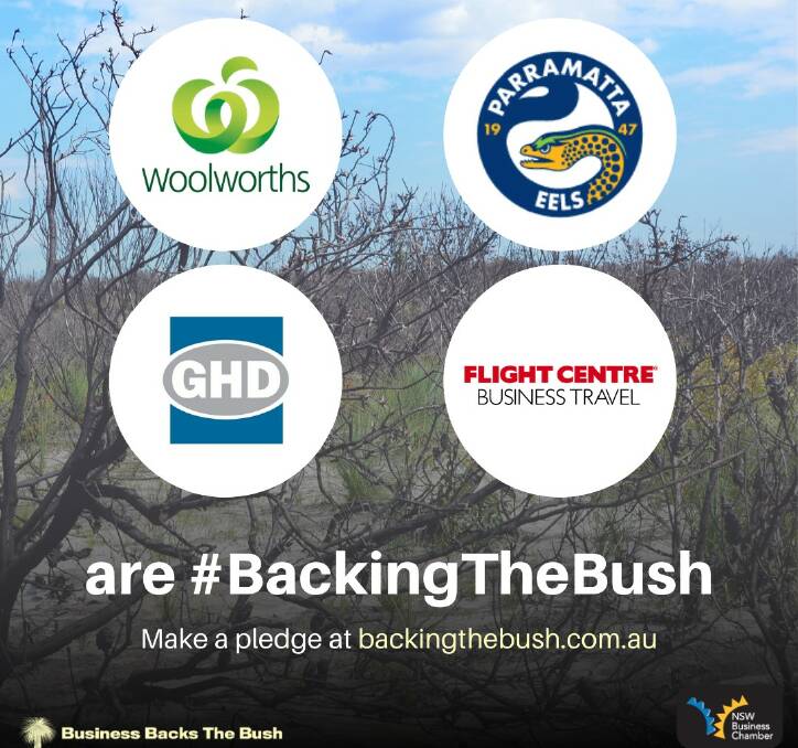 Some of the firms to take the Backing the Bush pledge within days of the campaign's launch by the NSW Business Chamber. Image: NSW Business Chamber/ Facebook