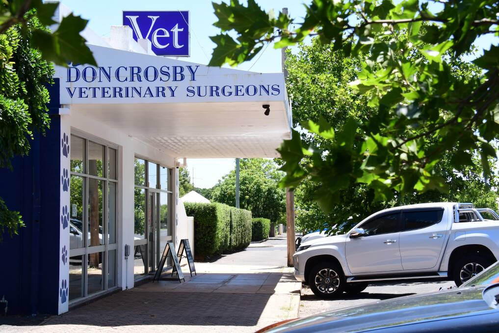 Don Crosby Veterinary Surgeons has advertised new veterinary and veterinary nurse positions to grow the team. Photo: AMY MCINTYRE