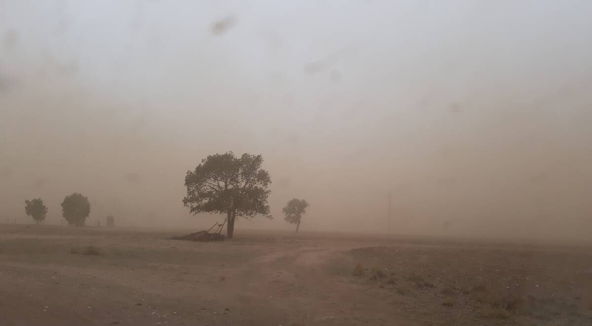 Dust blows across paddocks north-west of Dubbo on Sunday morning. Photo: FAYE WHEELER