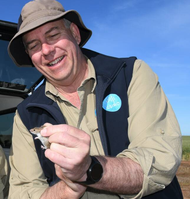 CSIRO research officer Steve Henry out in the field with a mouse. Photo: GRDC.