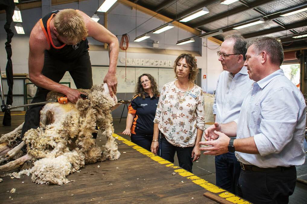 Josh Connell shearing trainee, Kim Jenkins wool trainer, Kerri Capill, skills minister Alister Henskens, MP Dugald Saunders. Picture: BELINDA SOOLE