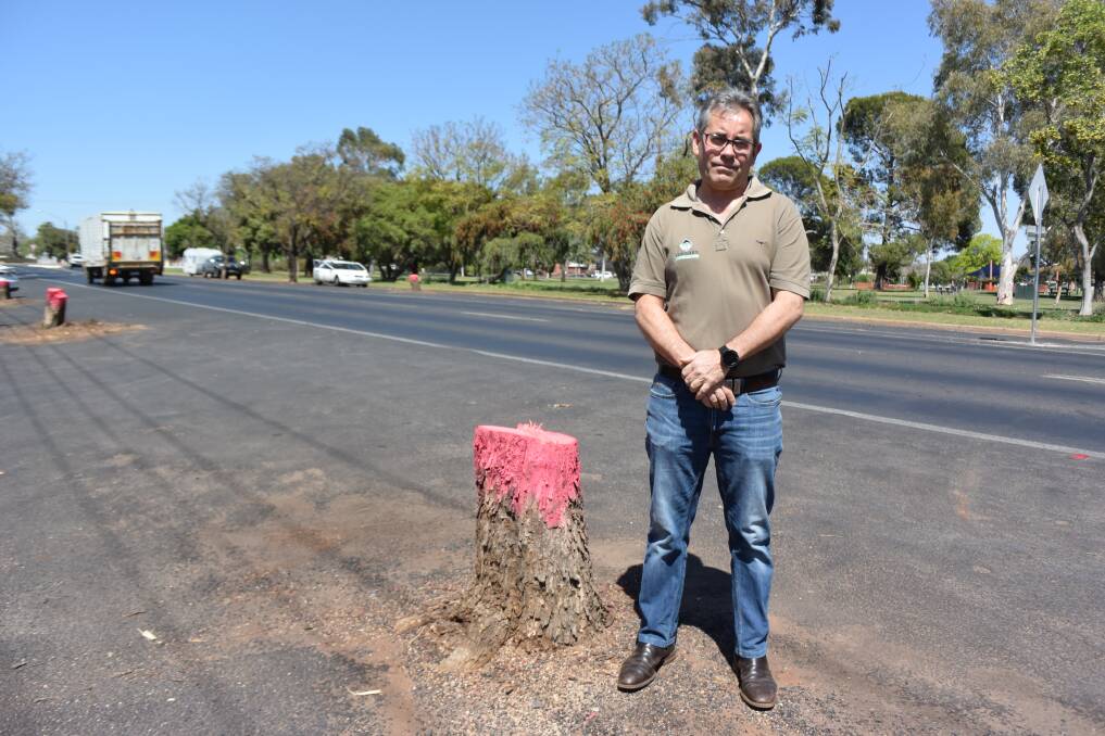 Gone: Resident Mark Gardner surveys the streetscape after an avenue of jacaranda trees was removed. Photo: FAYE WHEELER