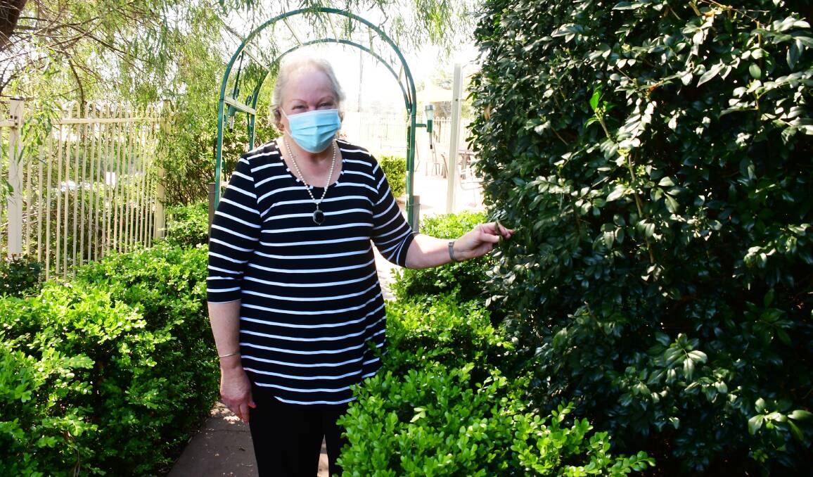 CALLING TIME: Dementia counsellor Kath Readford is about to retire after 28 years in the role. She is pictured in the garden of Home Club, the dementia-specific day centre she was instrumental in pushing for, and which has been operating for more than 20 years. Photo: AMY MCINTYRE