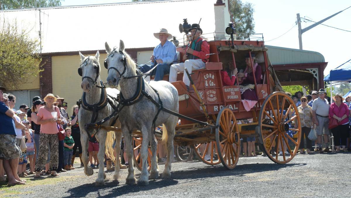The Cobb and Co stagecoach ferrying visitors to and fro during the 2018 festival. Photo: Elouise Hawkey. 