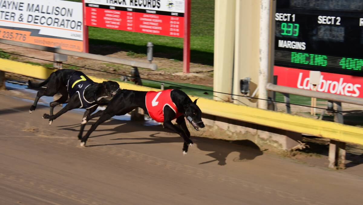 KEEPING STAYS AHEAD: Ruphert Keeping, pictured in an earlier career win, stormed home again on Friday night. PHOTO: NICK GUTHRIE.