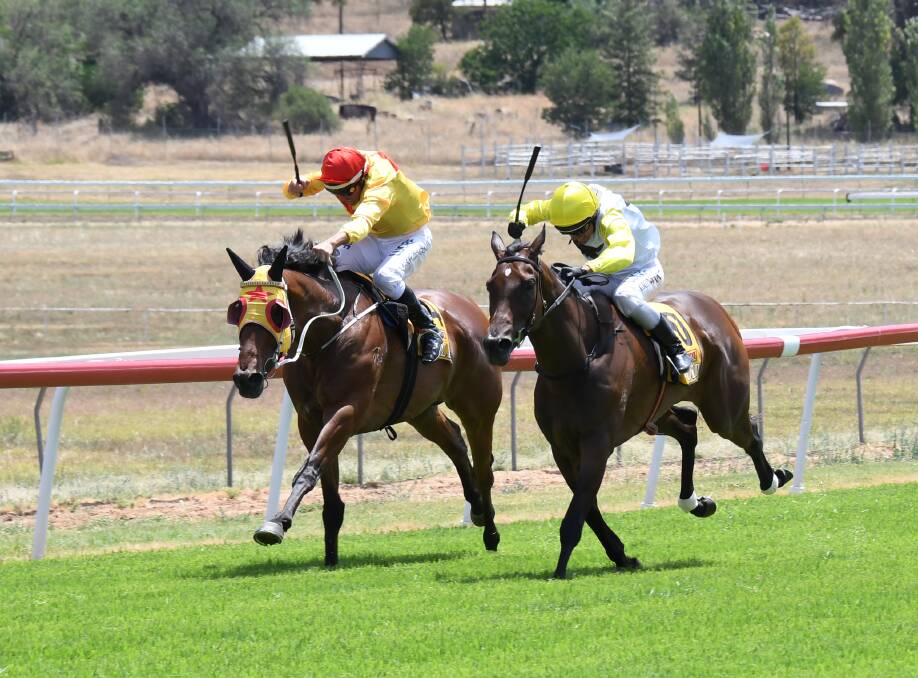Clint Lundholm's Carinda Road (left) pictured in action in Wellington, will likely return to the Dubbo Turf Club on Saturday. 