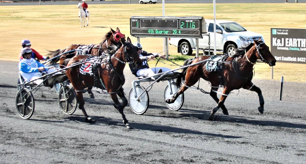 RARING TO GO: Jordan Reynolds and Tophut Johny took out the first win of the night on Sunday's return to the Dubbo Harness Racing track. PHOTO: COFFE PHOTOGRAPHY.