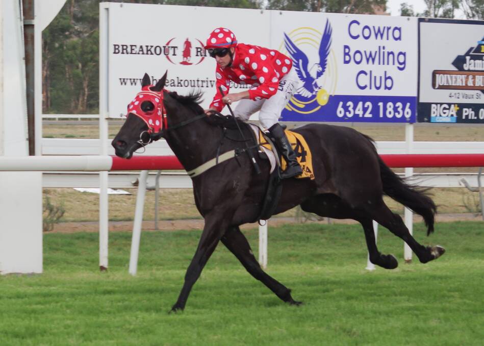 LOOKING TO REPEAT: 2020 Cowra Cup winner and 2019 Gilgandra Cup winner Mackellar's Love in action in January. PHOTO: FILE.