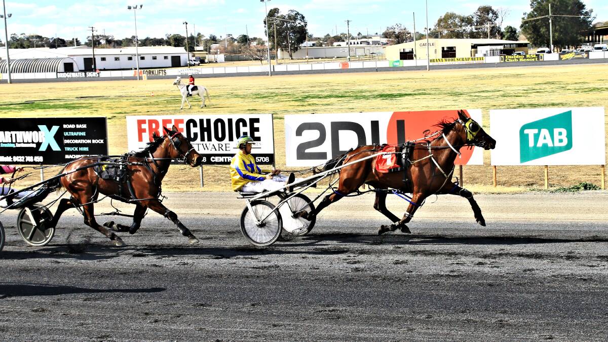 CHASING A REPEAT: James Sutton and Yarraman Bella take a win in Dubbo mid-way through last year. PHOTO: COFFEE PHOTOGRAPHY. 