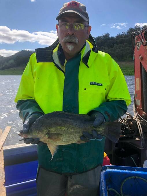 SNAGGED: Professional fisherman Steve Hounsell caught and released this tagged $1,000 Yellowbelly from the Burrendong Easter Fishing Classic of 2018 recently.
