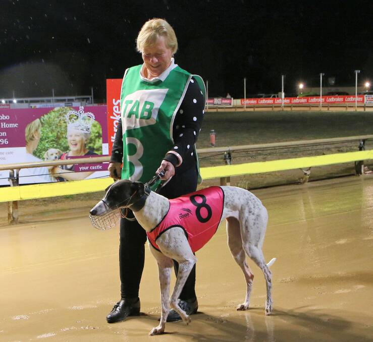 CHASE RETURNS: Nangar Gift and trainer Ann Barnes following their win in the Million Dollar Chase Regional Final in Dubbo last year. PHOTO: COFFEE PHOTOGRAPHY.
