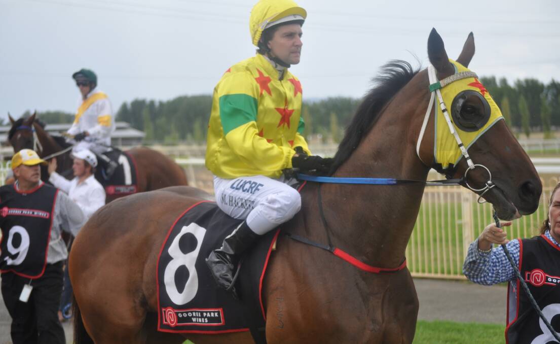 Bouncing Back: Clint Lundholm's Tuncoona, pictured in an earlier effort, will have a chance to find winning form on Saturday. Photo: Nick McGrath.