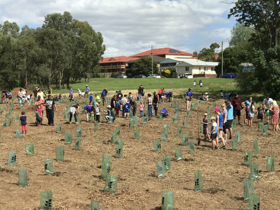 GRANTED: Community groups will now be able to receive grant funding for efforts like this mass tree planting exercise. PHOTO: CONTRIBUTED.