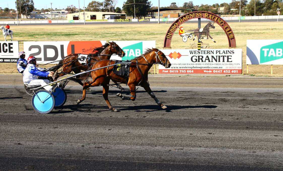 Underdog: Brett Pay's Trioli secured a first career win from her second start on Sunday. Photo: Coffee Photography. 