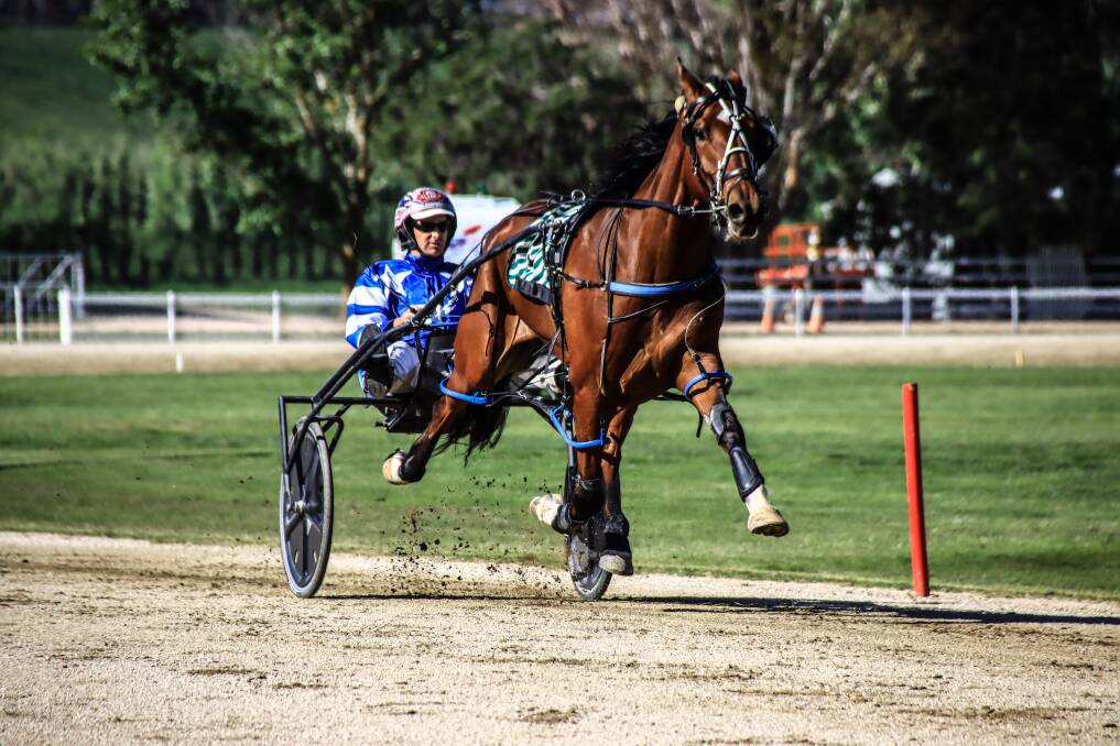 RARING TO GO: Beast Mode, pictured earlier in their career, will be driven by Dubbo's Tom Pay this weekend. PHOTO: COFFEE PHOTOGRAPHY.