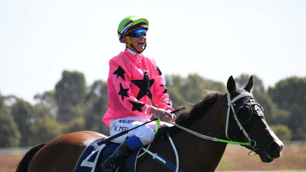 STEPPING UP: Zoutenant, pictured following a win in Dubbo with Wendy Peel in the saddle. PHOTO: AMY MCINTYRE.