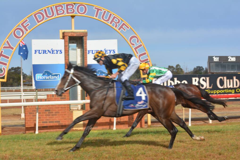 Winner: Jockey Aaron Bullock guides Eiger across the line and takes out the Silver Goblet. Photo: Daniel Shirkie. 