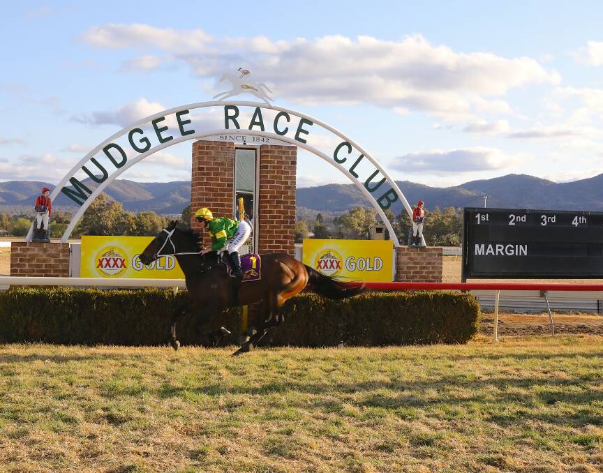 Nominated: Brett Thompson's Sugar Dance, pictured here in a recent victory in Mudgee, will contest the Gold Cup. Photo: File. 