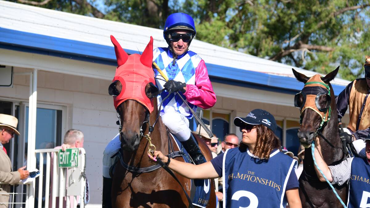 THE WEST'S BEST: Fast Talking, seen here with Greg Ryan on-board after running in second in Coonamble earlier in the year. PHOTO: AMY MCINTYRE.