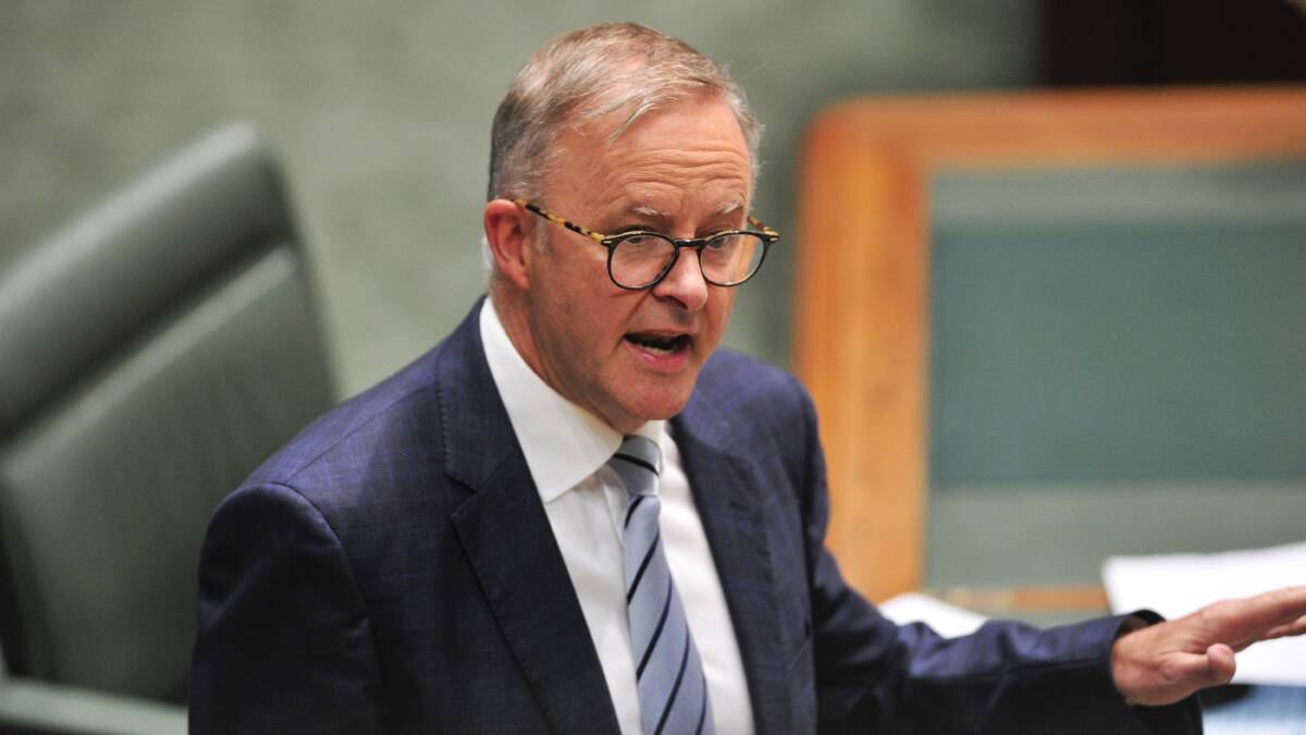Opposition Leader Anthony Albanese. Picture: Dion Georgopoulos