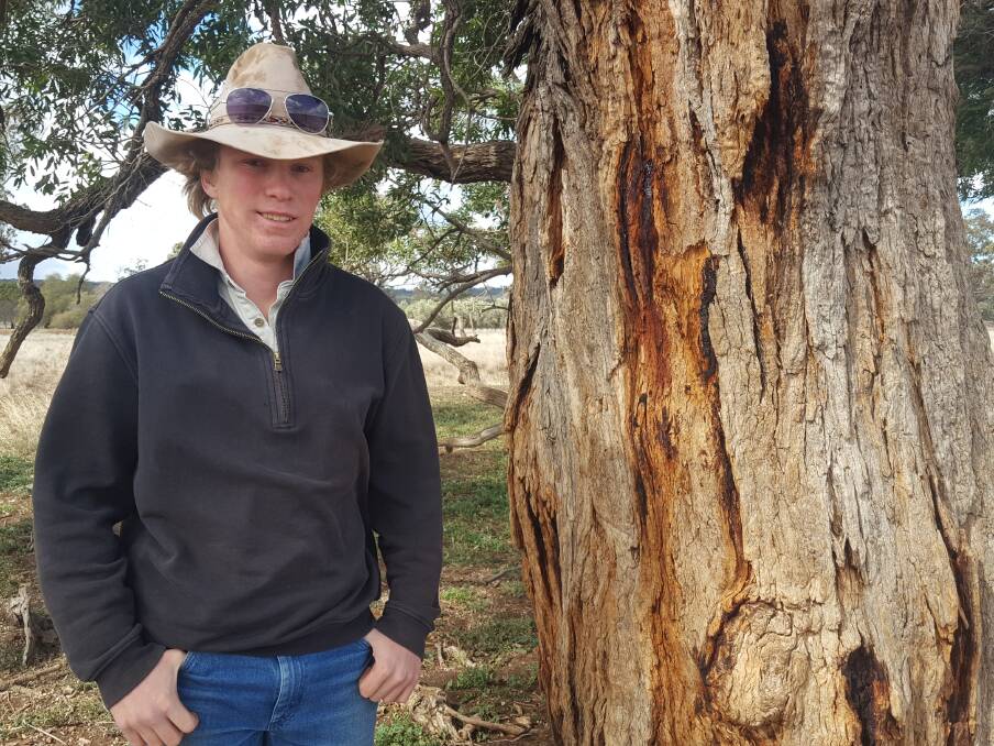 JOURNEY: Patrick Blomfield, 16, will travel from a Caroona farm to learn "how to best deal with the stress and pressure of drought" and share "stories and ideas". 