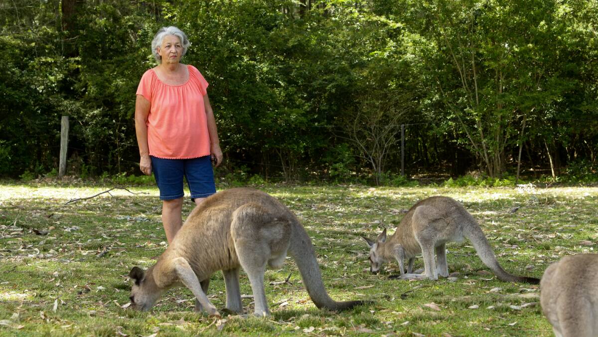 A terror week: Ann Morgan with kangaroos on the grounds of Morisset Hospital. Picture: Jonathan Carroll