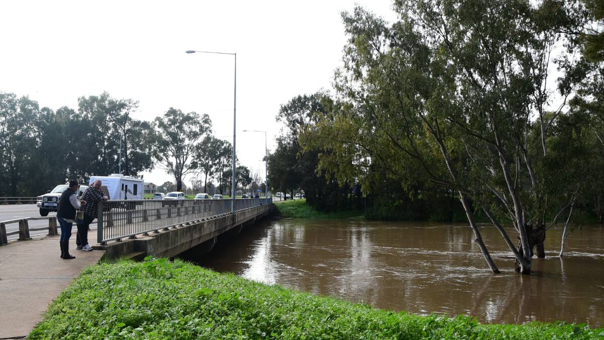 Waters rise in the Macquarie River. Photos: Belinda Soole