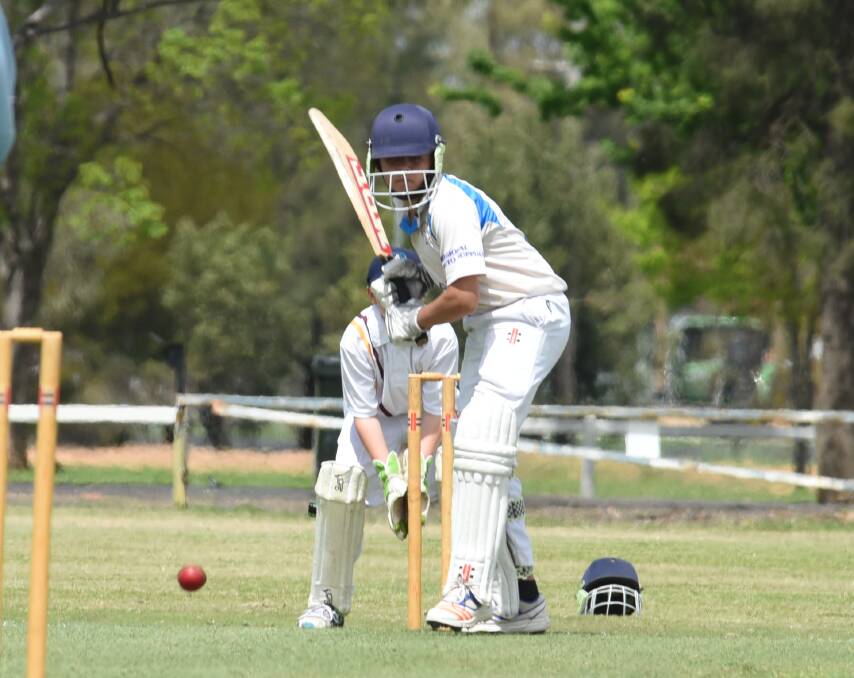 CONTRIBUTION: Harrison Quinn (pictured during the Max Shepherd Shield) has scored 57 runs so far this Kookaburra Cup campaign, and taken 3-21 from just five overs. Photo: BELINDA SOOLE